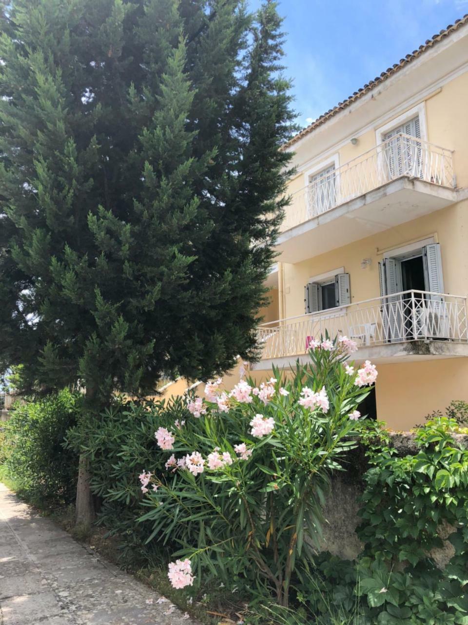 Gregos Rooftop Suite City Center W. Sea View Corfu  외부 사진